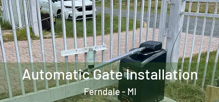  Automatic Gate Installation Ferndale - MI