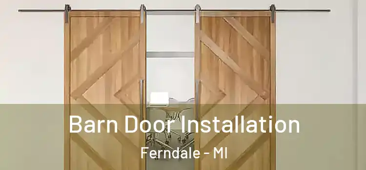  Barn Door Installation Ferndale - MI