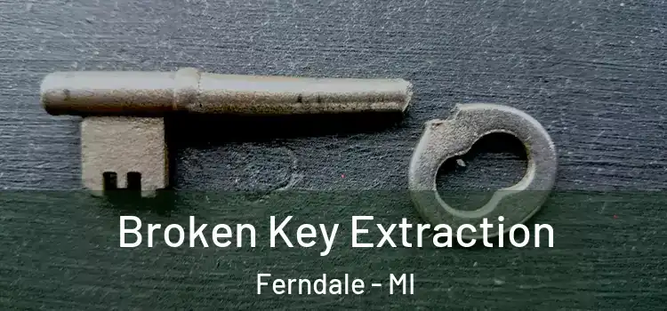  Broken Key Extraction Ferndale - MI