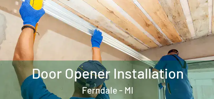 Door Opener Installation Ferndale - MI