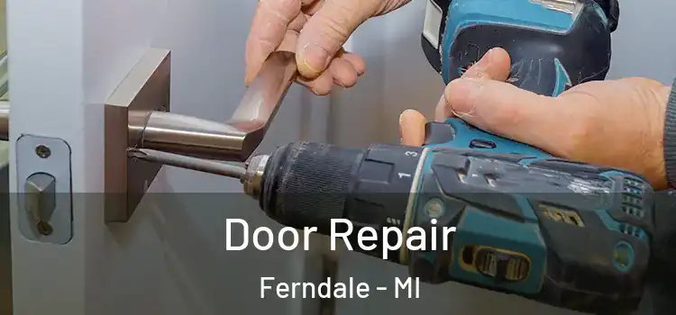  Door Repair Ferndale - MI