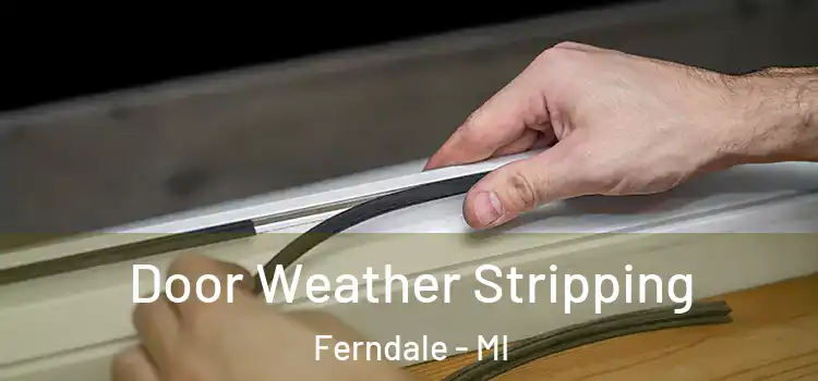 Door Weather Stripping Ferndale - MI