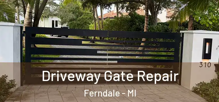 Driveway Gate Repair Ferndale - MI