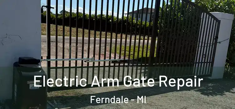  Electric Arm Gate Repair Ferndale - MI
