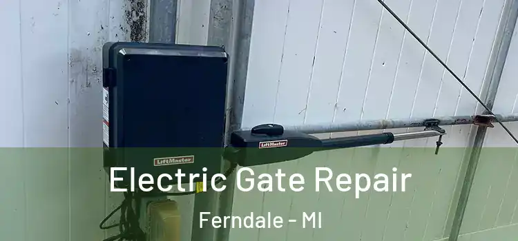 Electric Gate Repair Ferndale - MI