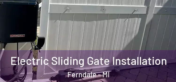 Electric Sliding Gate Installation Ferndale - MI
