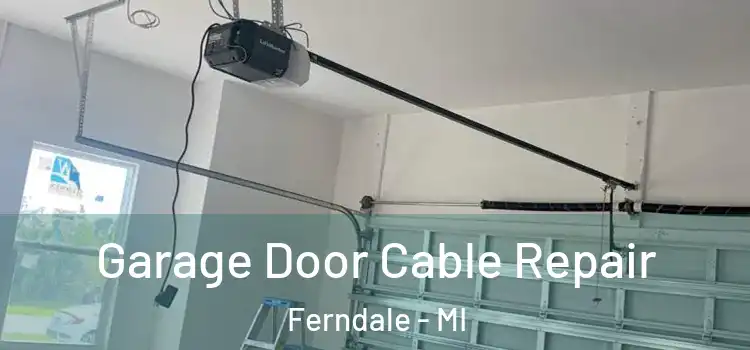  Garage Door Cable Repair Ferndale - MI