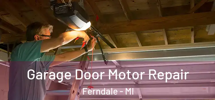  Garage Door Motor Repair Ferndale - MI