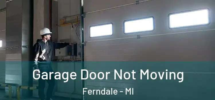  Garage Door Not Moving Ferndale - MI