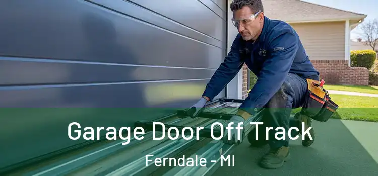  Garage Door Off Track Ferndale - MI