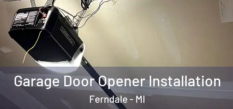  Garage Door Opener Installation Ferndale - MI