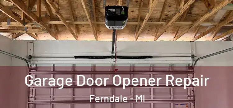  Garage Door Opener Repair Ferndale - MI