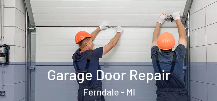  Garage Door Repair Ferndale - MI