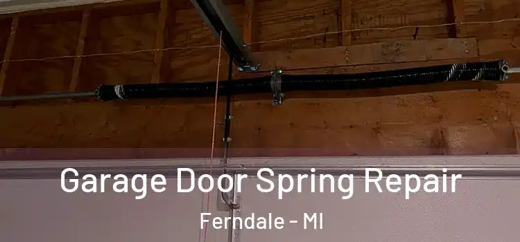  Garage Door Spring Repair Ferndale - MI