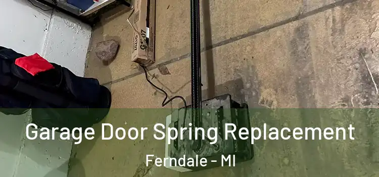  Garage Door Spring Replacement Ferndale - MI