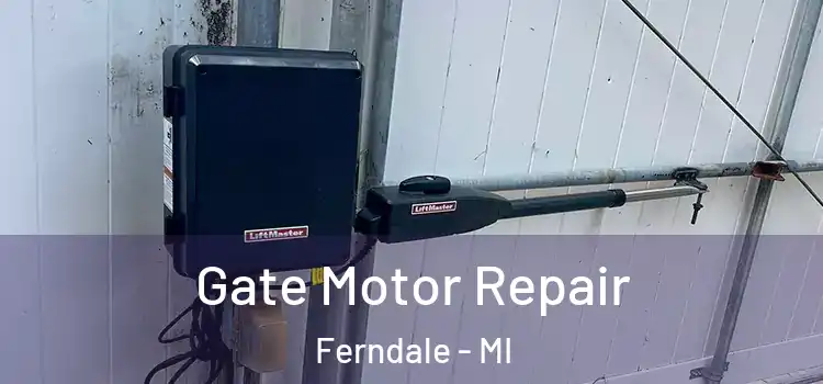 Gate Motor Repair Ferndale - MI