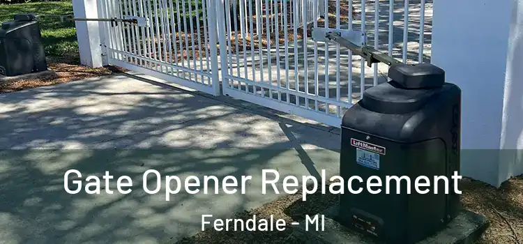  Gate Opener Replacement Ferndale - MI