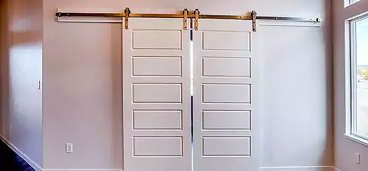 Glass Barn Door with Installation Hardware Kit Ferndale