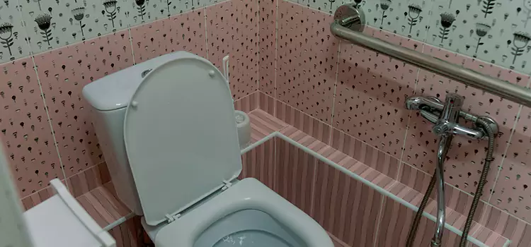 Meeting Diverse Needs With Accessible Restroom Solutions in Ferndale, MI