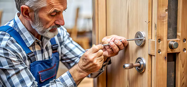 Mortise Replacement Lock Ferndale
