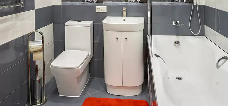 Hansgrohe Shaving Mirror Ferndale