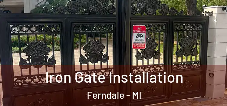  Iron Gate Installation Ferndale - MI