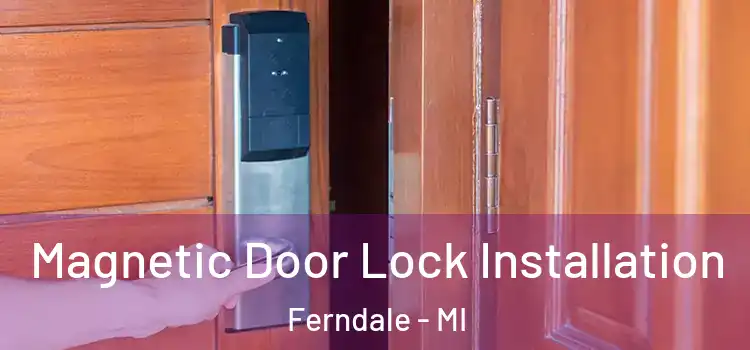  Magnetic Door Lock Installation Ferndale - MI