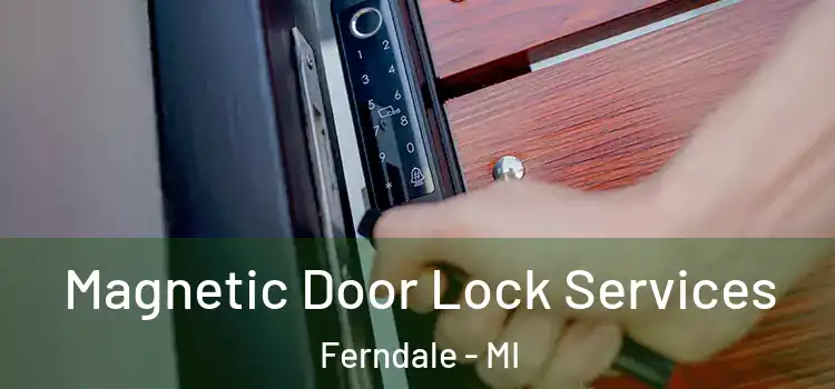  Magnetic Door Lock Services Ferndale - MI