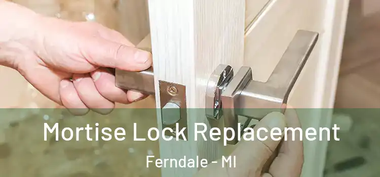  Mortise Lock Replacement Ferndale - MI