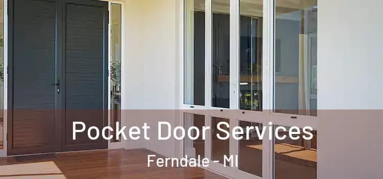  Pocket Door Services Ferndale - MI