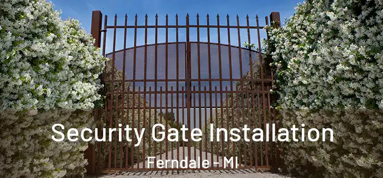  Security Gate Installation Ferndale - MI