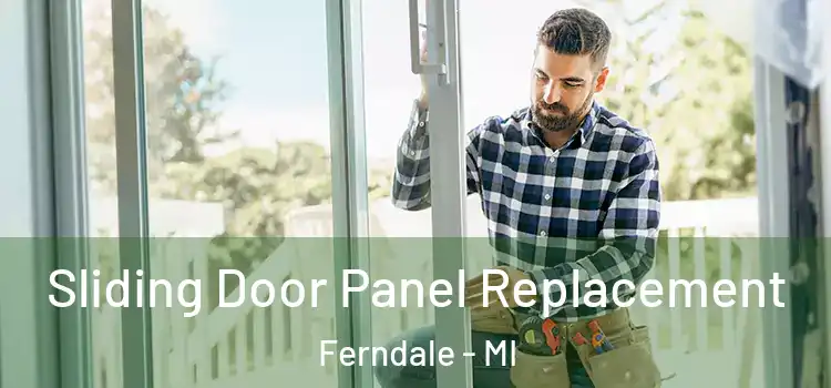  Sliding Door Panel Replacement Ferndale - MI