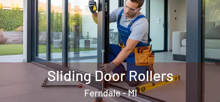 Sliding Door Rollers Ferndale - MI