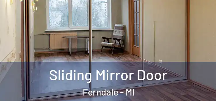  Sliding Mirror Door Ferndale - MI