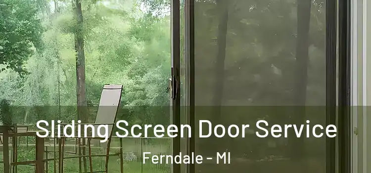 Sliding Screen Door Service Ferndale - MI